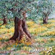 27-2015-olivier-16x16