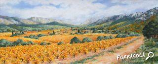 31-2015-vigne_corbieres-22x50