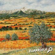 13-2016-vignes_canigou-30x30