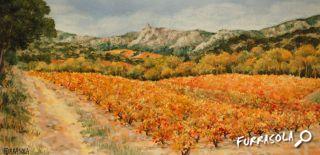 20-2016-vignes_queribus-16x32