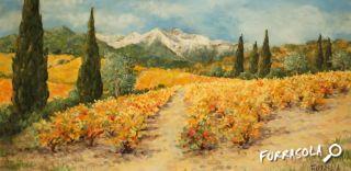 23-2016-vignes_canigou-16x32