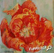 28-2018-jean_paul_furrasola-tulipes_perroquet-16_5x16_5