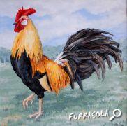 03-2012-coq-40x40