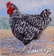 06-2012-poule-20x20