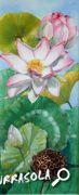 07-2011-lotus-22x50