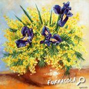 17-2011-mimosas-iris-30x30