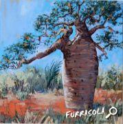 baobab-ifaty-30x30