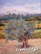 15-2012-olivier-canigou-50x65